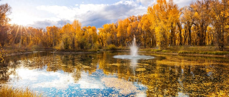 图片[2]-农村副业有哪些可以做-农村里搞副业啥最挣钱？别傻傻卖衣服，这样做月收入直接翻倍-推咖网创