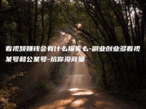 看视频赚钱会有什么损失么