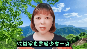 抖音怎么不用花钱就可以上热门