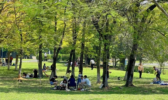 023的属相是什么生肖呢-2024一定不要错过的6个商机,想当老板,想创业必看!"