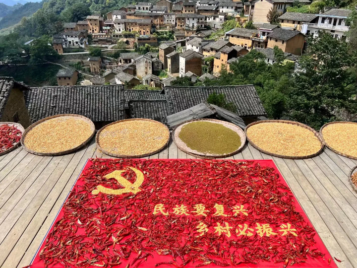 图片[1]-大学毕业就业好还是创业好的辩论-大学生是就业好还是创业好？-推咖网创