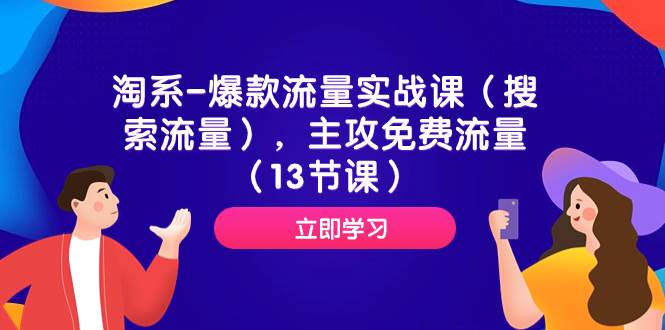 淘系-爆款流量实战课（搜索流量），主攻免费流量（13节课）