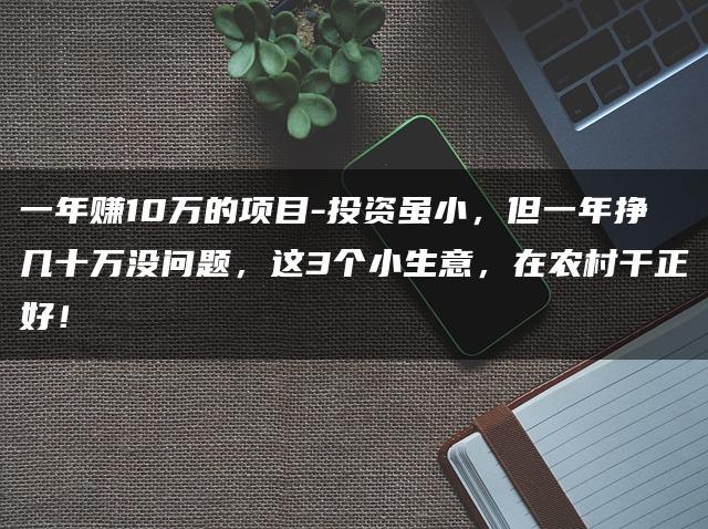 一年赚10万的项目-投资虽小，但一年挣几十万没问题，这3个小生意，在农村干正好！