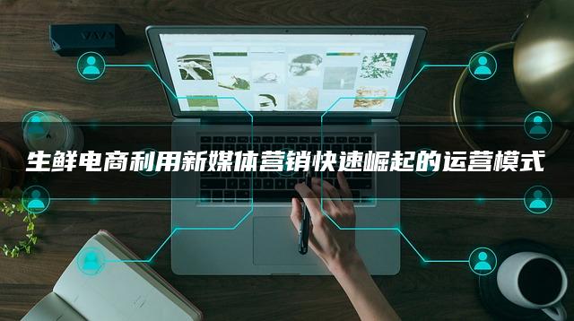 生鲜电商利用新媒体营销快速崛起的运营模式 生鲜电商利用新媒体营销快速崛起的运营模式