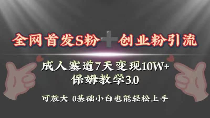 全网首发s粉加创业粉引流变现，成人用品赛道7天变现10w 保姆教学3.0