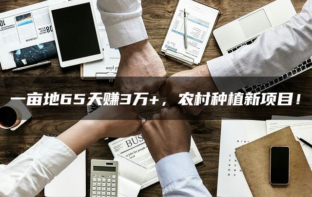 一亩地65天赚3万+，农村种植新项目！